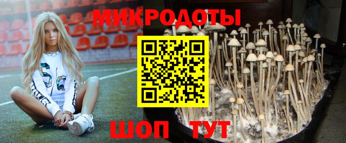 Галлюциногенные грибы GOLDEN TEACHER Новосибирск